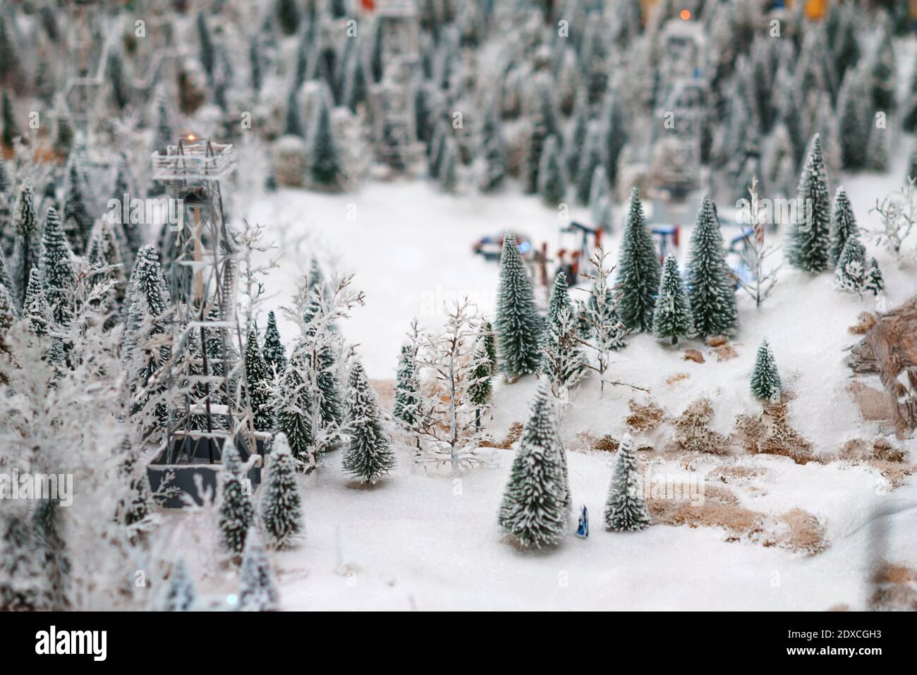 Alberi di Natale nella vista laterale della neve, messa a fuoco morbida Foto Stock