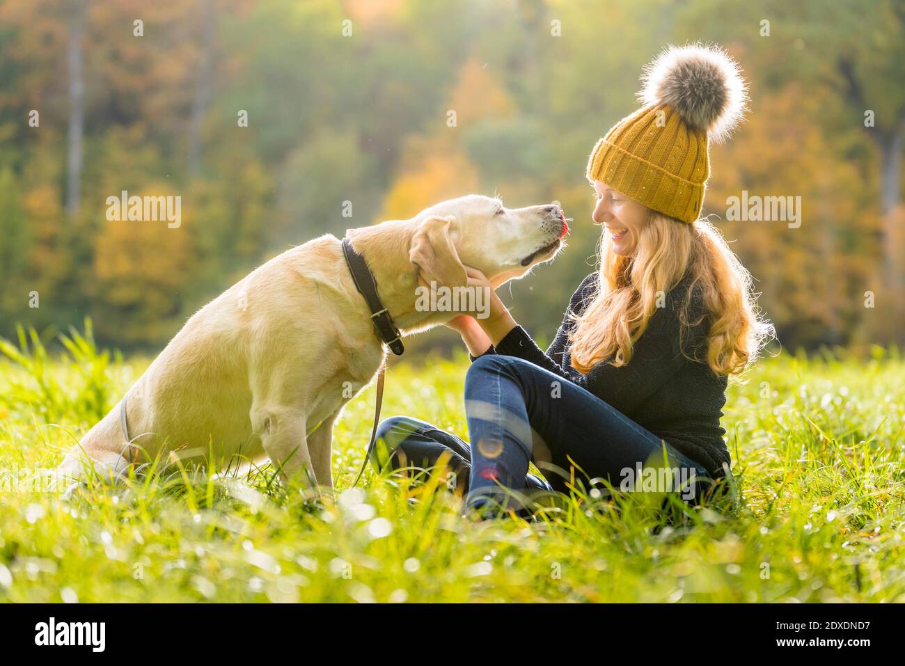 Donna felice che gioca con canino mentre si siede nel parco durante stagione autunnale Foto Stock