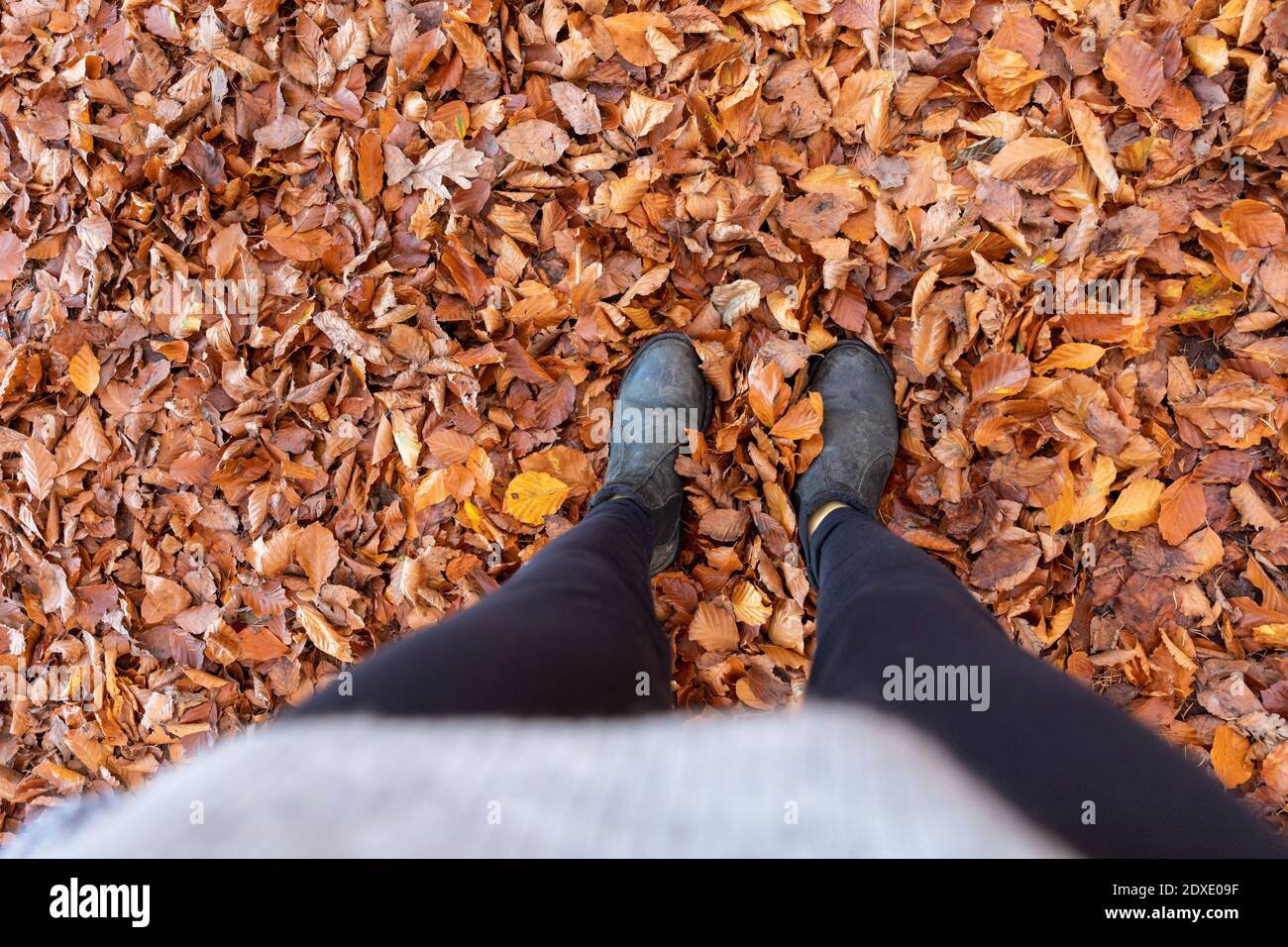 Donna in piedi su foglie autunnali nel bosco di Cannock Chase Foto Stock