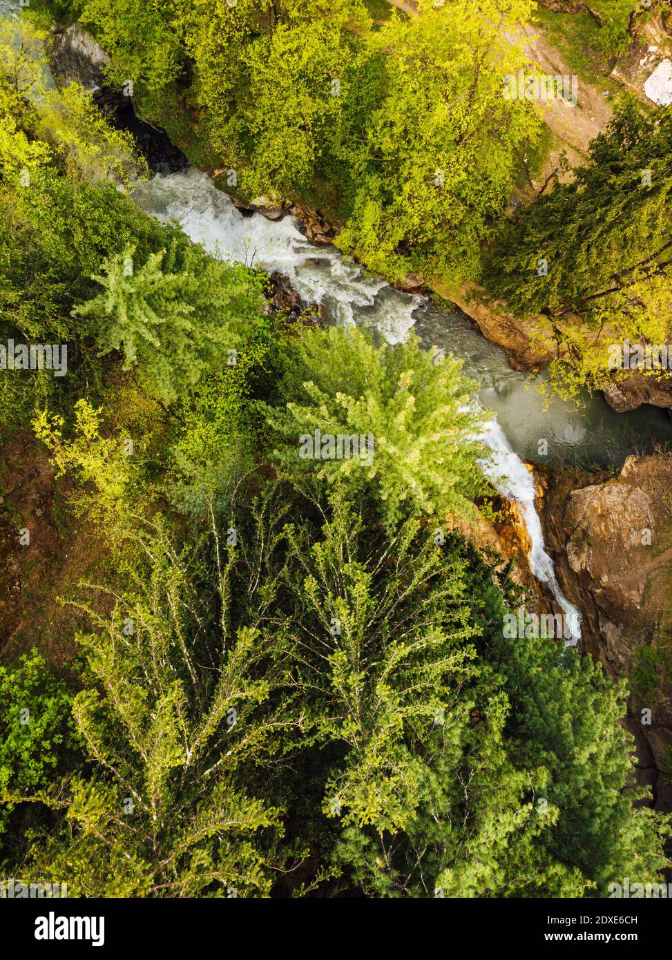 Drone vista di alberi verdi che crescono lungo il fiume Parvati, India Foto Stock