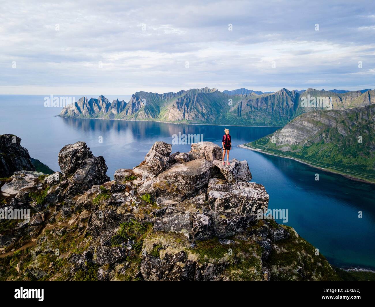 Donna escursionista che guarda la vista in piedi sulla montagna a Husfjellet, Senja, Norvegia Foto Stock