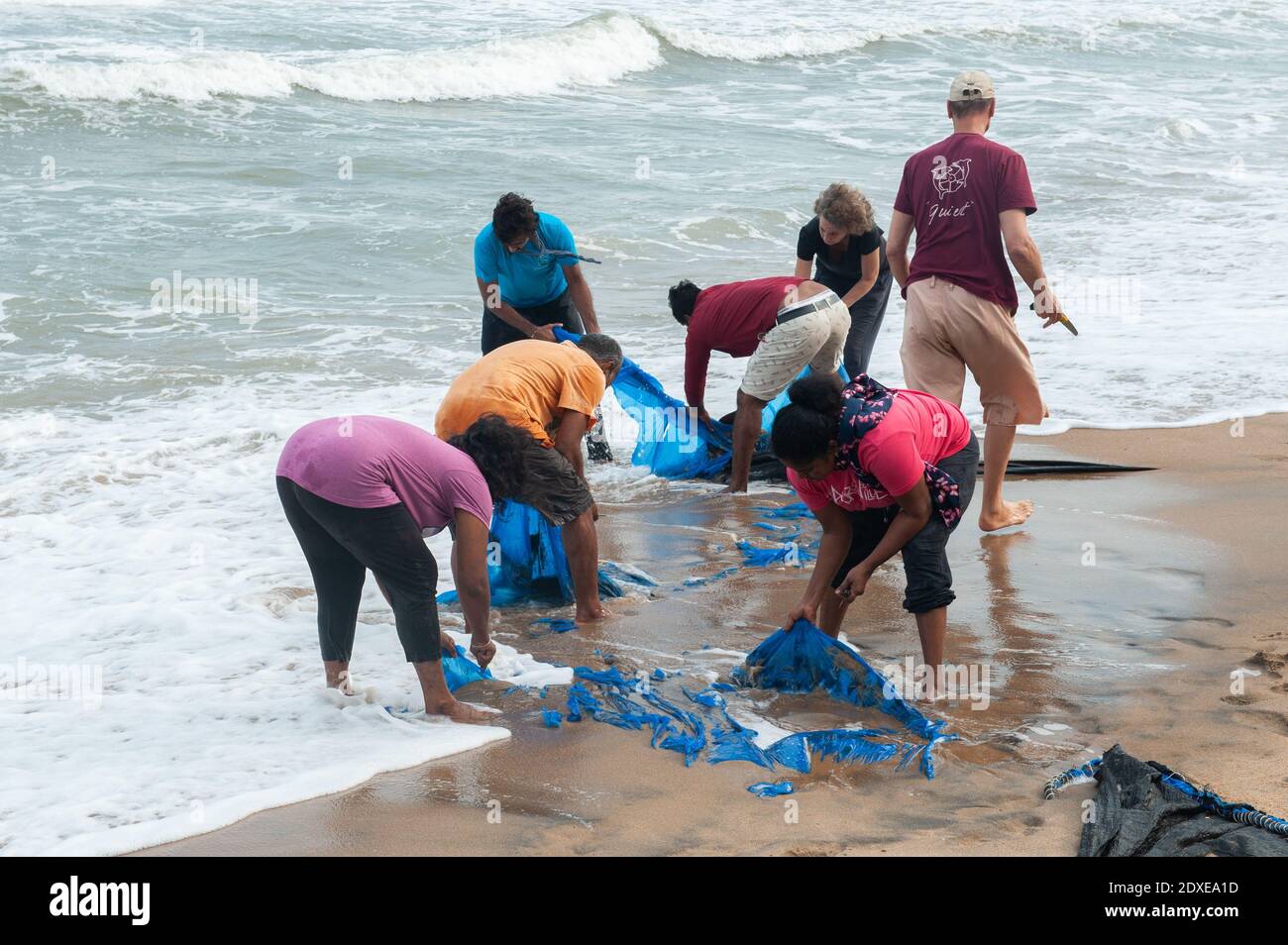 AUROVILLE, INDIA - 2020 dicembre: Pulire giorno per rimuovere la plastica a sinistra sulla spiaggia come protezione contro l'erosione del mare Foto Stock