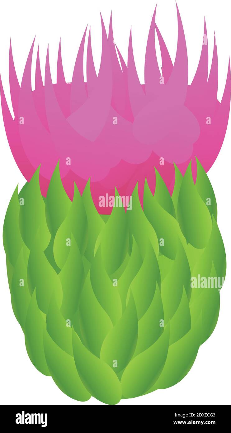 Thistle scottish fiore icona. Cartoon of Thistle scottish flower Vector icona per il web design isolato su sfondo bianco Illustrazione Vettoriale