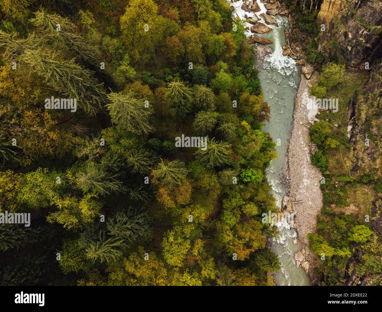 Drone vista di alberi verdi che crescono lungo il fiume Parvati, India Foto Stock