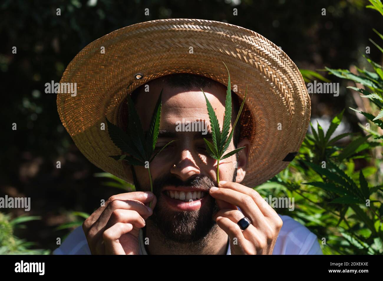 Sorridente giovane contadino con cappello di paglia che tiene la marijuana lascia dentro parte anteriore degli occhi Foto Stock