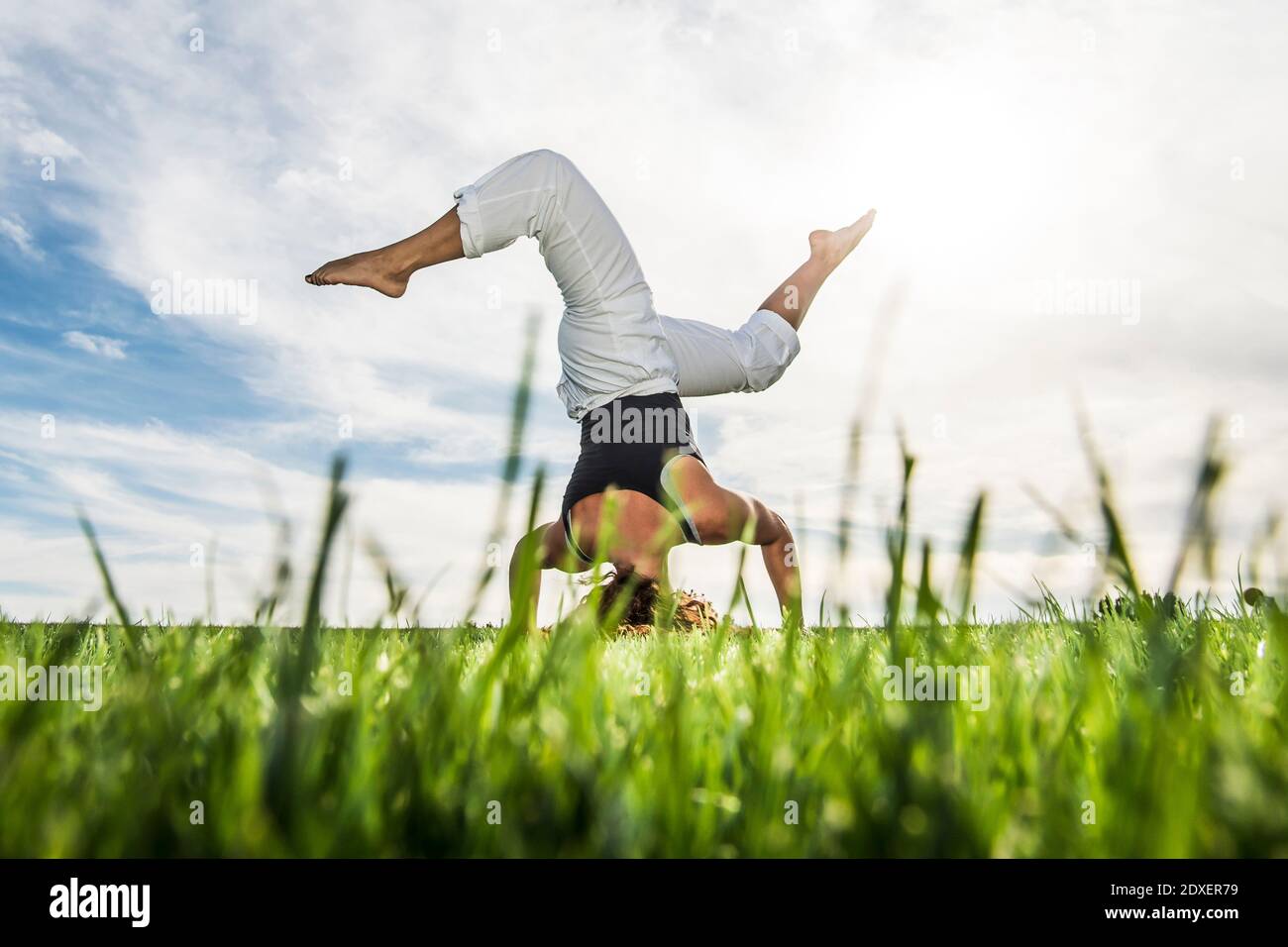 Giovane sportivo che pratica la carrola sull'erba nel parco Foto Stock