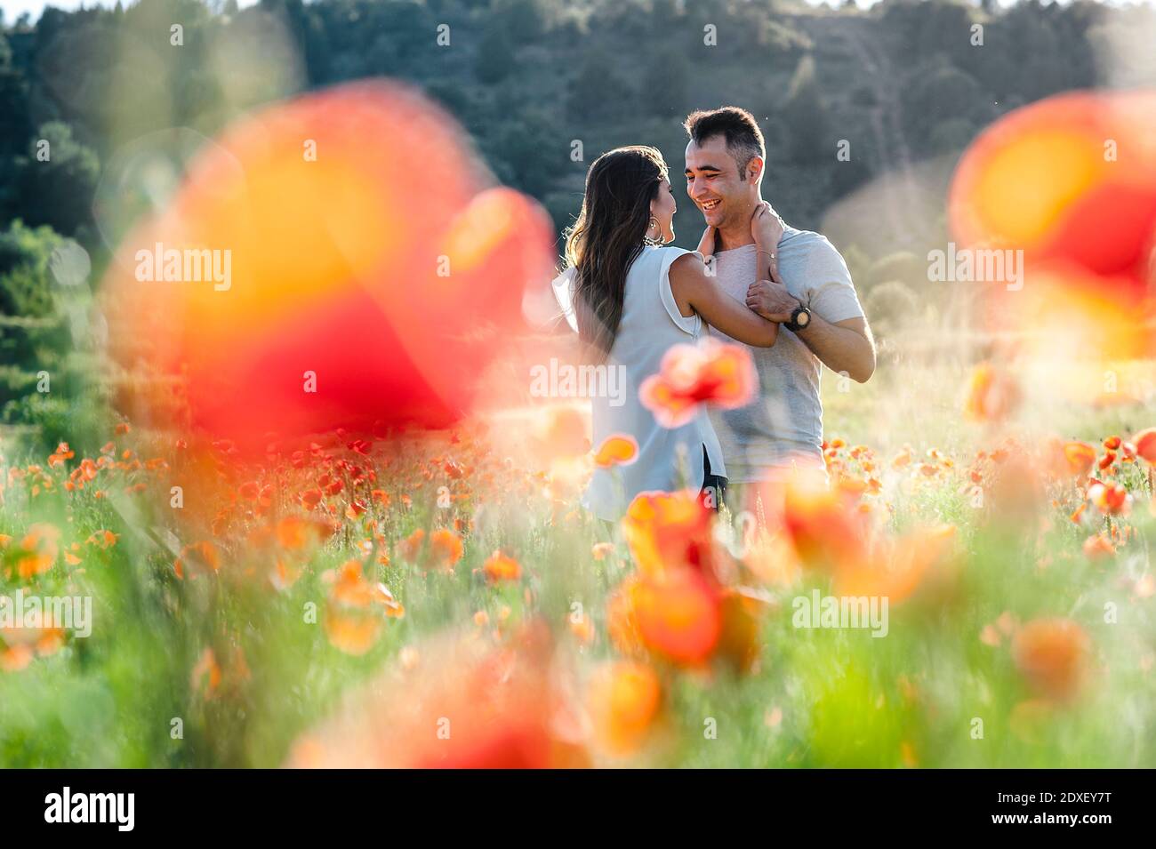 Felice coppia romantica sorridente mentre si sta in piedi campo di fiori di papavero Foto Stock