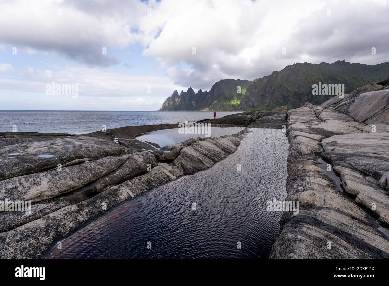 Donna in piedi a Toggeneset, Senja, Norvegia Foto Stock