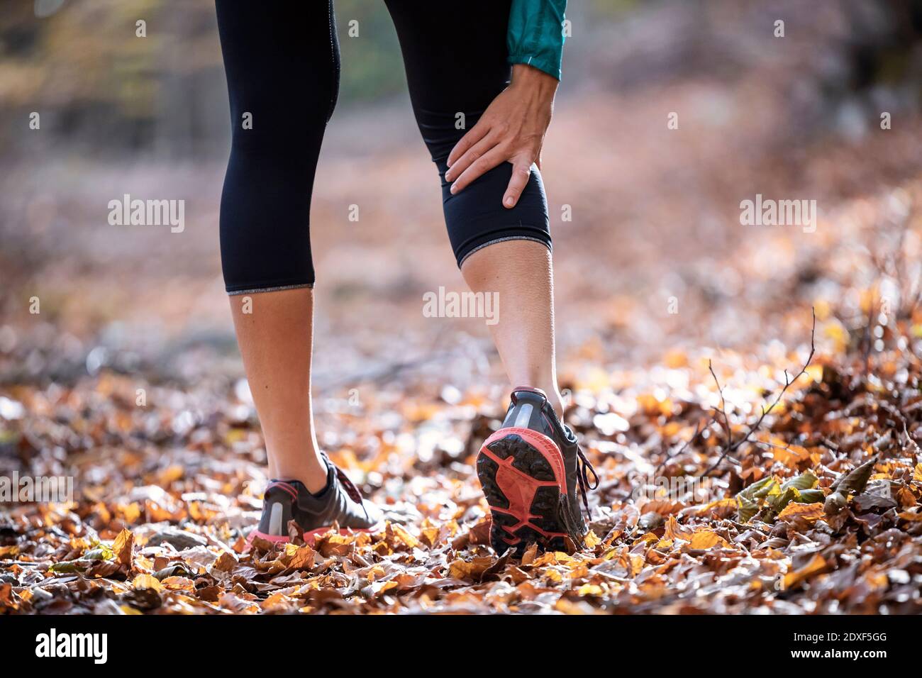 Donna sportiva che ha cramp in gamba mentre si trova sul sentiero forestale Foto Stock