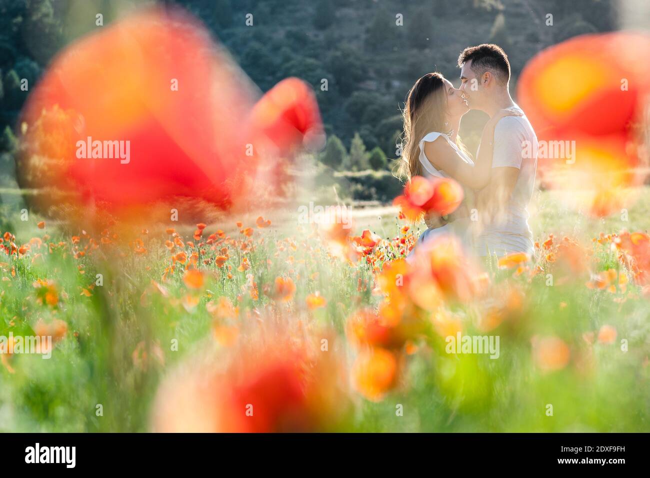 Giovane coppia baciando su campo di fiori di papavero Foto Stock