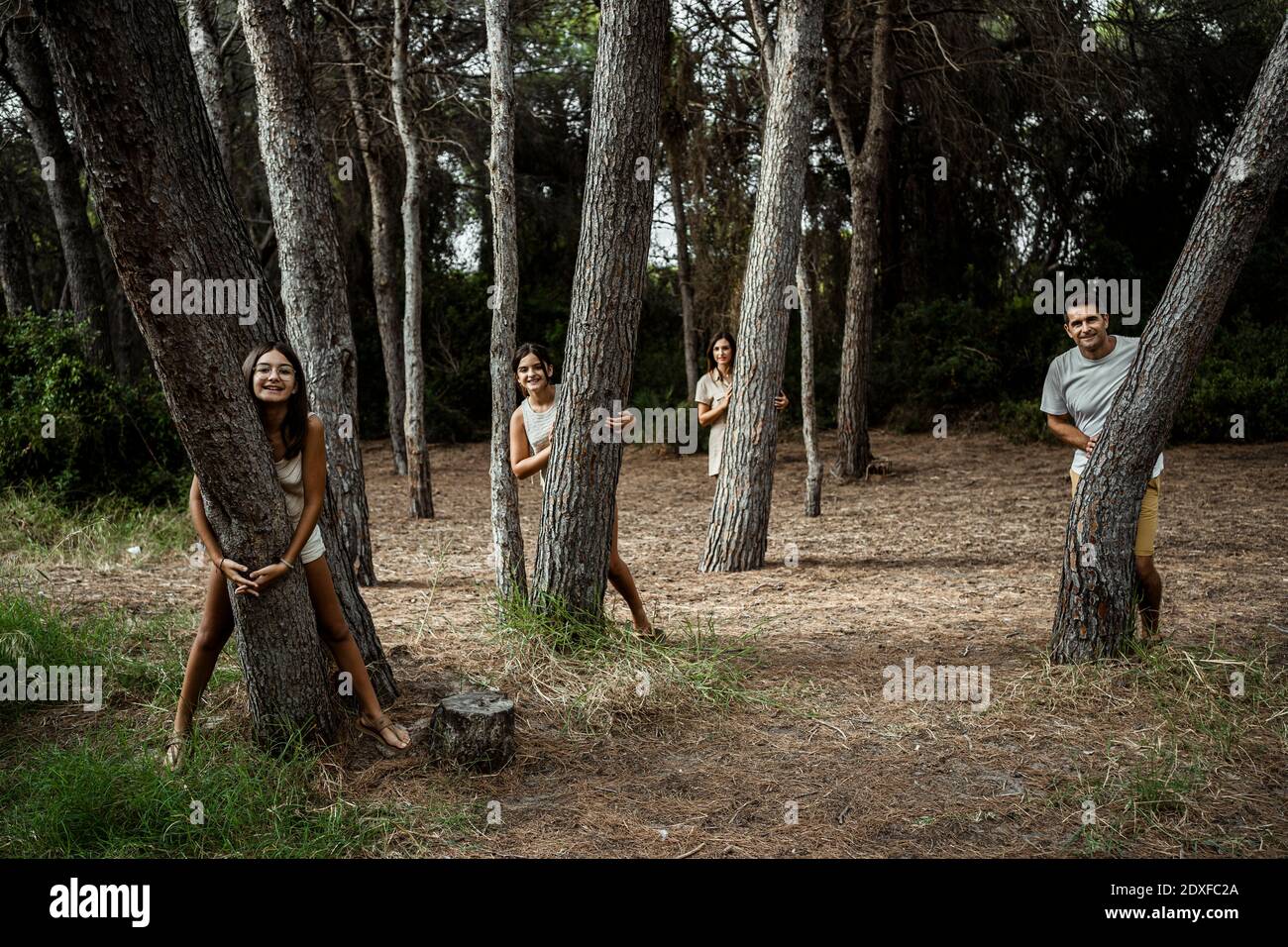 Genitori e figlie che si nascondono dietro i tronchi d'albero nella foresta Foto Stock