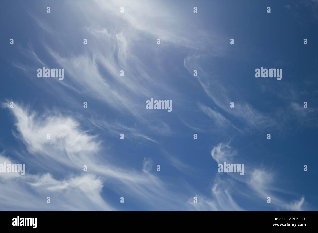 Un cirrus nuvole con un cielo blu background.Ice cristalli Foto Stock