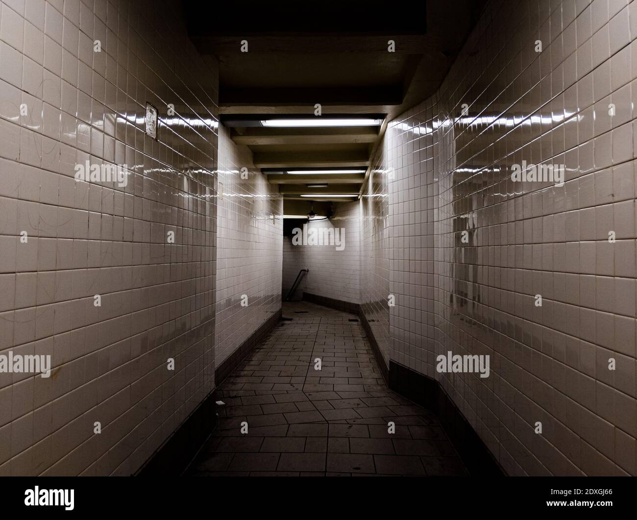 Corridoio scuro con piastrelle bianche riflettenti e luci brillanti a. Treni della metropolitana a New York City Foto Stock