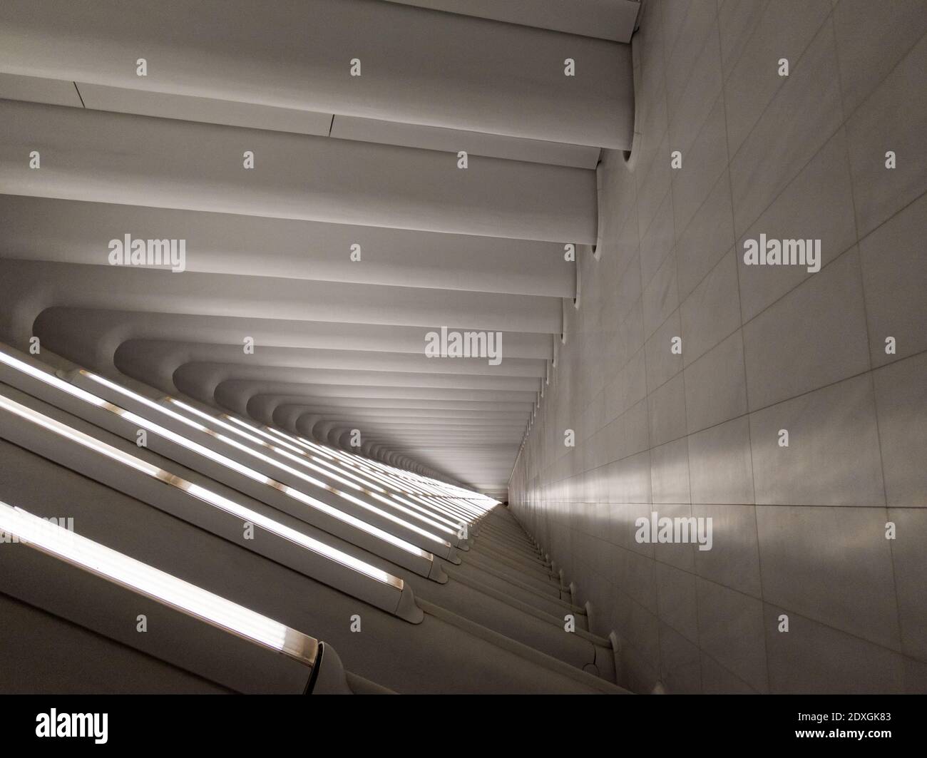 Vista astratta delle colonne bianche dell'Oculus World Trade Center, Manhattan, New York City Foto Stock