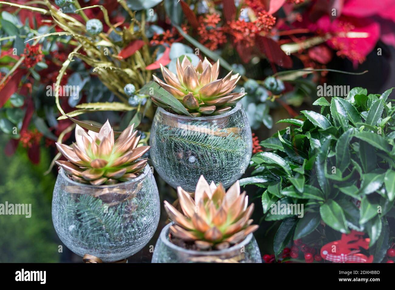 auguri natalizi con contenitori in vetro e piante multicolore Foto Stock