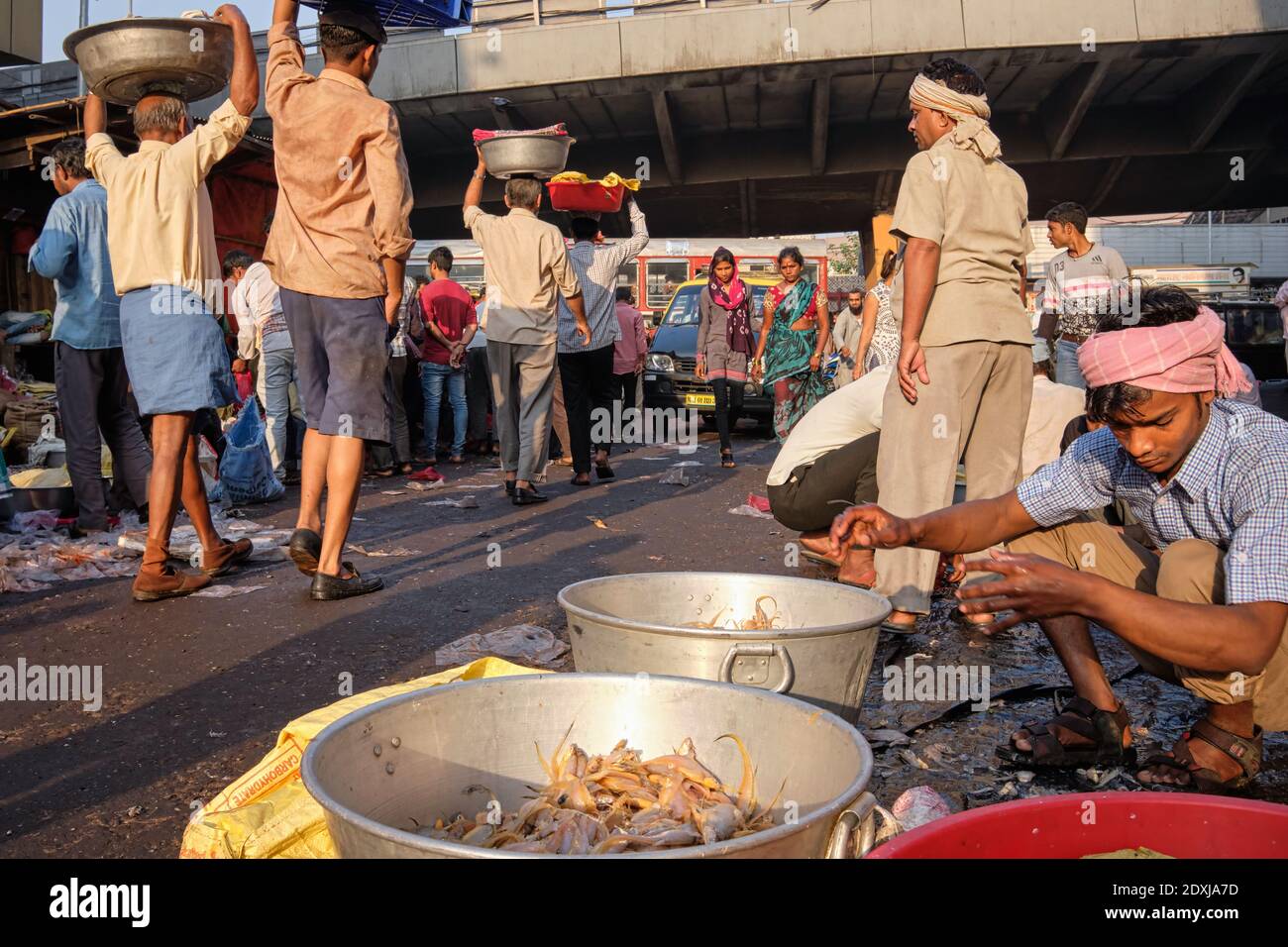 Un piccolo fornitore di frutti di mare che smista i gamberetti in un mercato del pesce all'aperto, tra le attività del mercato del rischio; vicino al mercato di Crawford a Mumbai, India Foto Stock