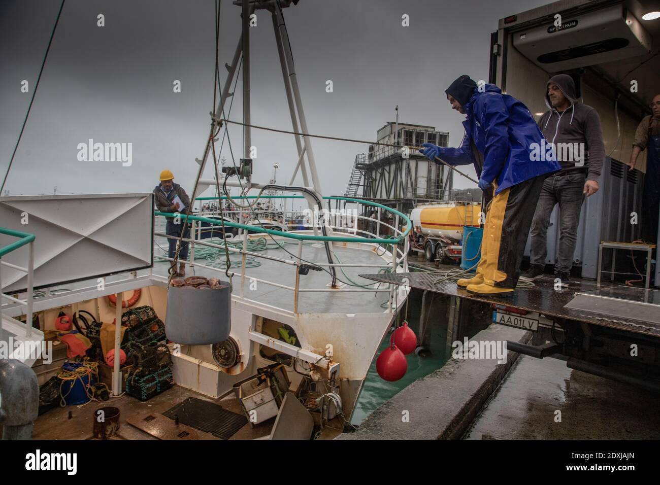 I pescatori di Newlyn, Cornovaglia, il più grande porto di pesca d'Inghilterra, pescano in una cattura di granchio Foto Stock