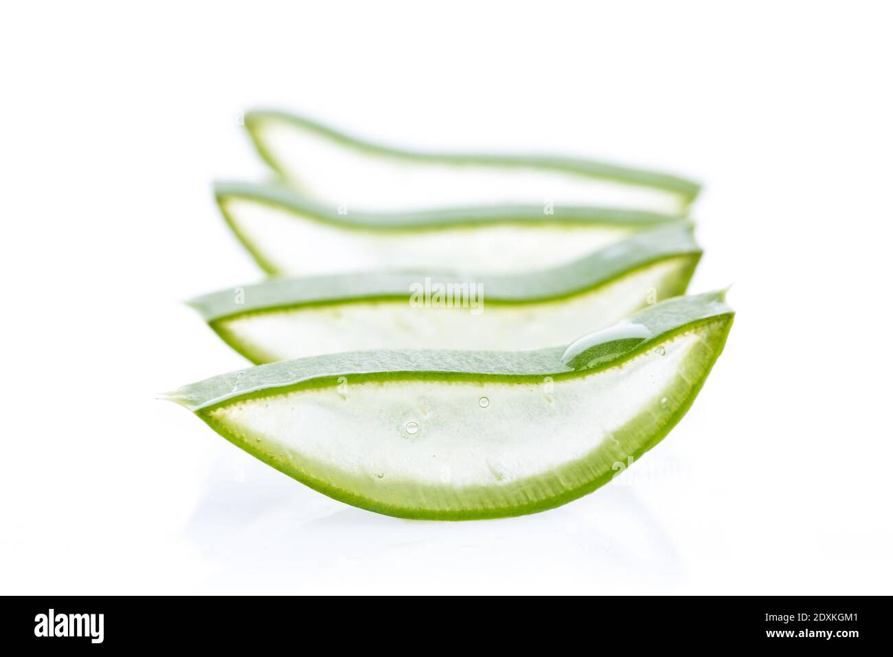 Aloe vera - dischi a foglia in fila Foto Stock