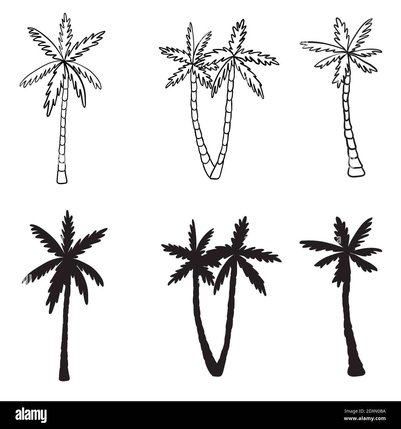 Set di icone di palme silhouette nere palma tropicale isolata. Illustrazione Vettoriale