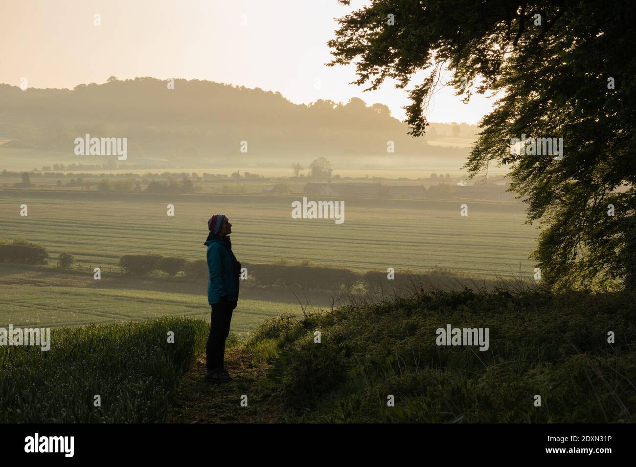 Una donna con binocolo si ferma durante una passeggiata di chiusura anticipata per apprezzare gli alberi e ascoltare l'alba del mattino coro Foto Stock