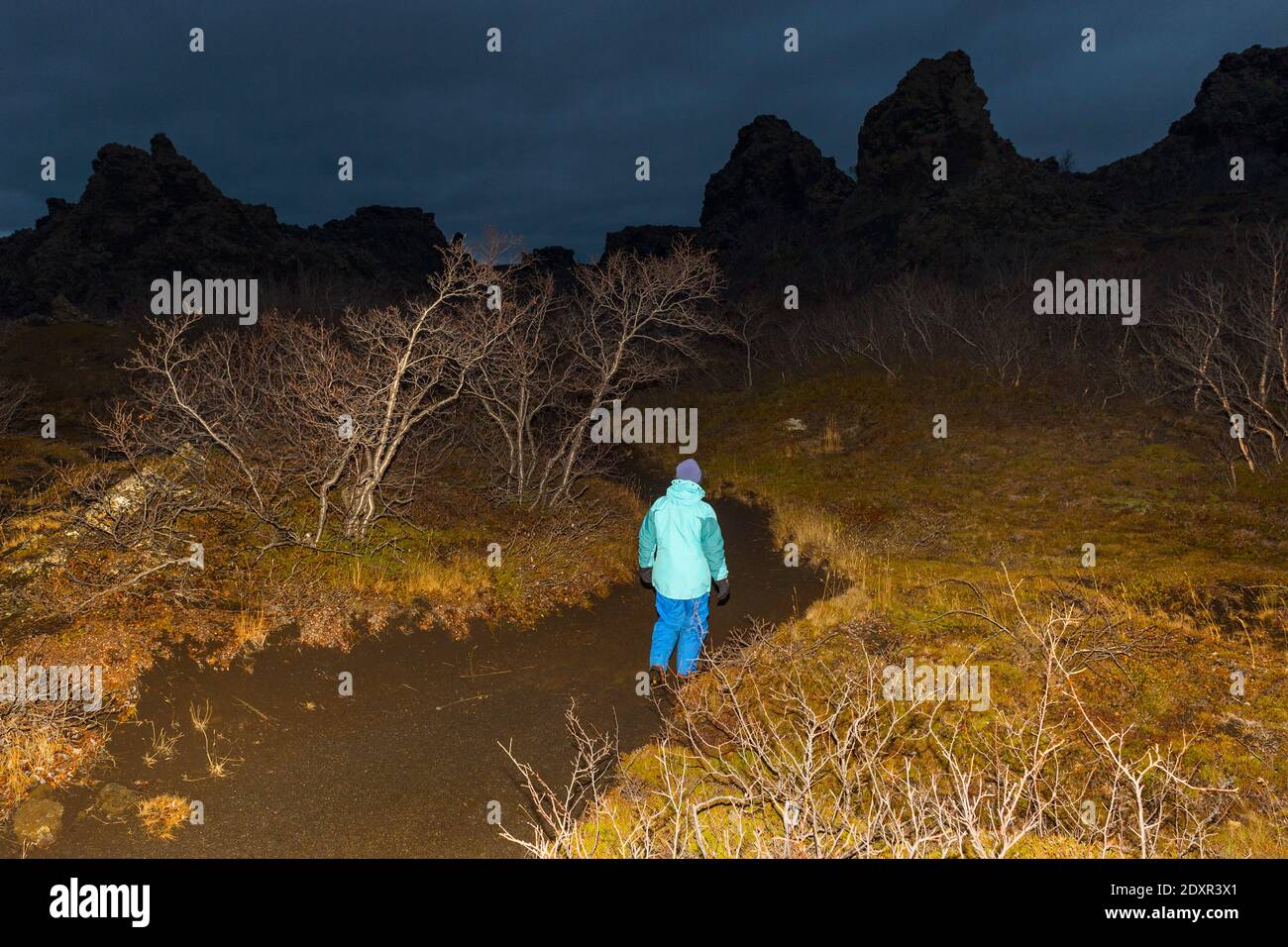 Myvatn, Islanda. Foto Stock