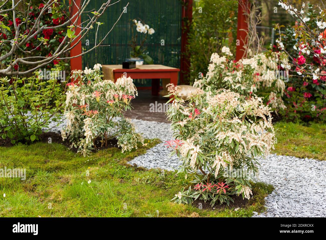 China Tea show Garden - RHS Cardiff 2014 Foto Stock
