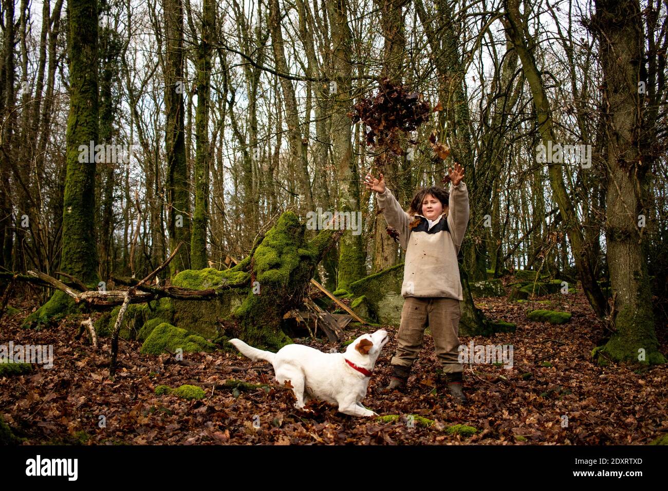 FRA - OASIS KERLANIC un hiver au coeur d'une communauté en Centre Bretagne qui vie en autoportisance alimentaire et énergétique. Foto Stock