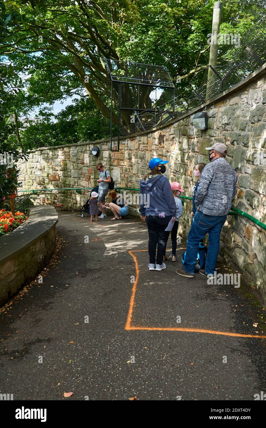 I visitatori che si accodano allo zoo di Edimburgo RZSS mantengono la distanza sociale durante la pandemia di Coronavirus, Scozia, Regno Unito Foto Stock