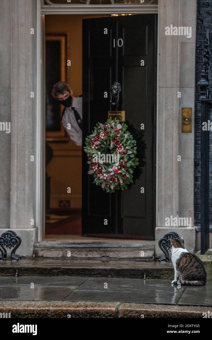 Larry il gatto entra No.10 Downing Street come il governo Attende un accordo commerciale tra il governo britannico e il La Commissione europea sigilla la Brexit Foto Stock