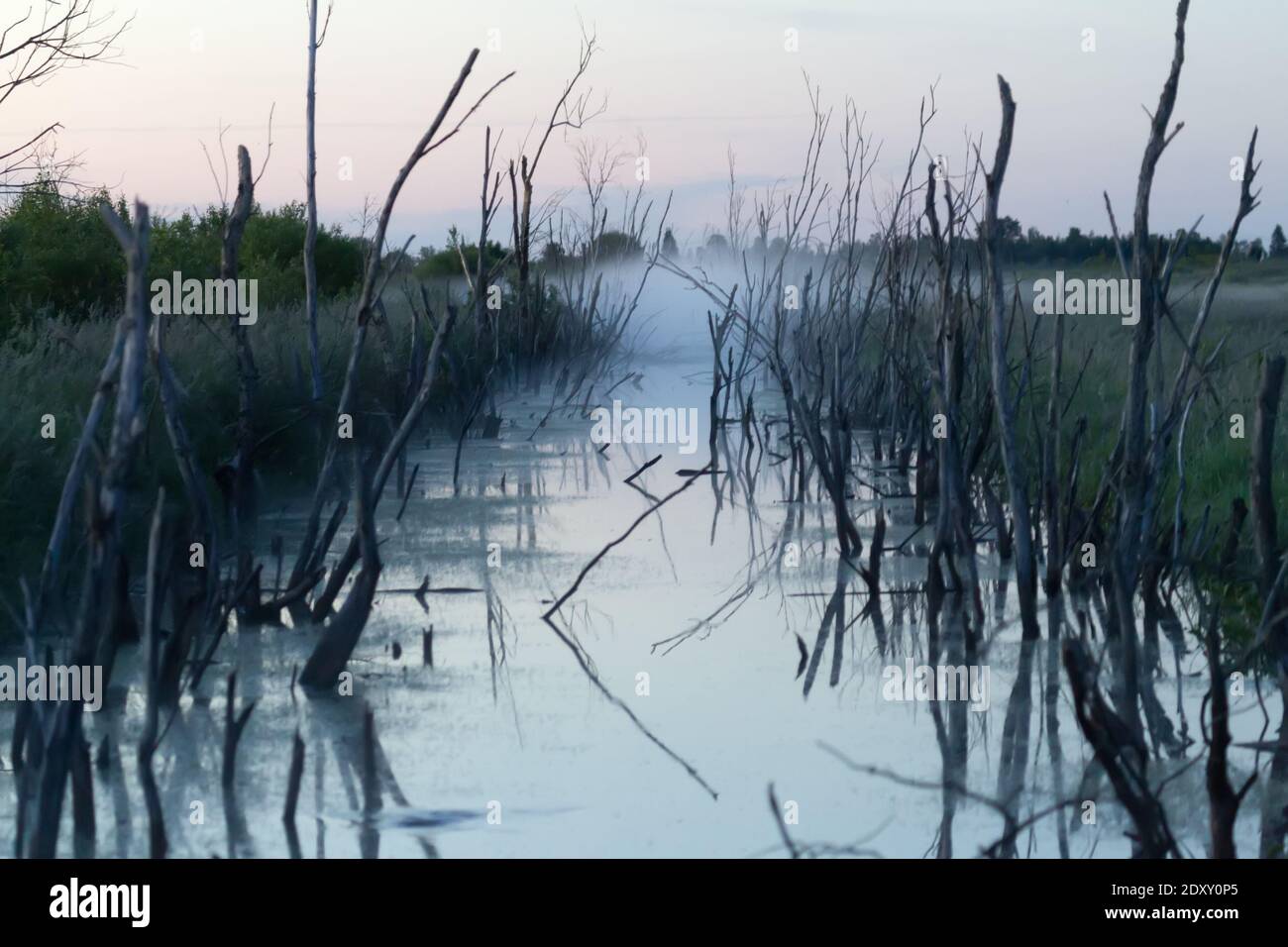 Tramonto in palude e 'tramonto' del sistema di bonifica (miglioramento del terreno e miglioramento agricolo per la prateria) nel Nord della Russia. Canale di irrigazione Foto Stock