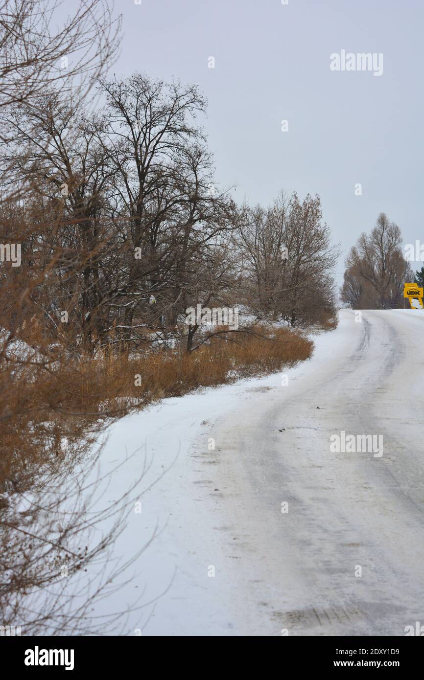 Una grande montagna alta lungo una strada ben logora coperta di neve soffice bianca con alberi e cespugli alla fine di dicembre. Foto Stock