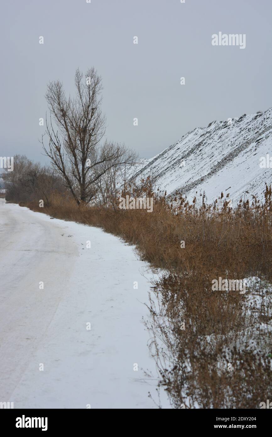 Una grande montagna alta lungo una strada ben logora coperta di neve soffice bianca con alberi e cespugli alla fine di dicembre. Foto Stock