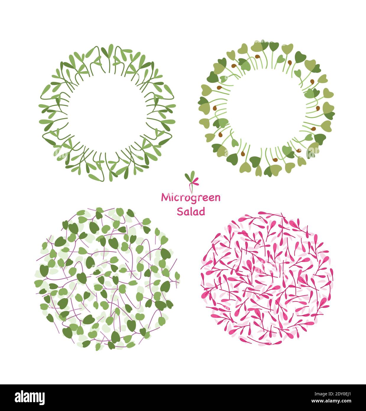 Design grafico micro green food circle, set di foglie con logo eco Illustrazione Vettoriale