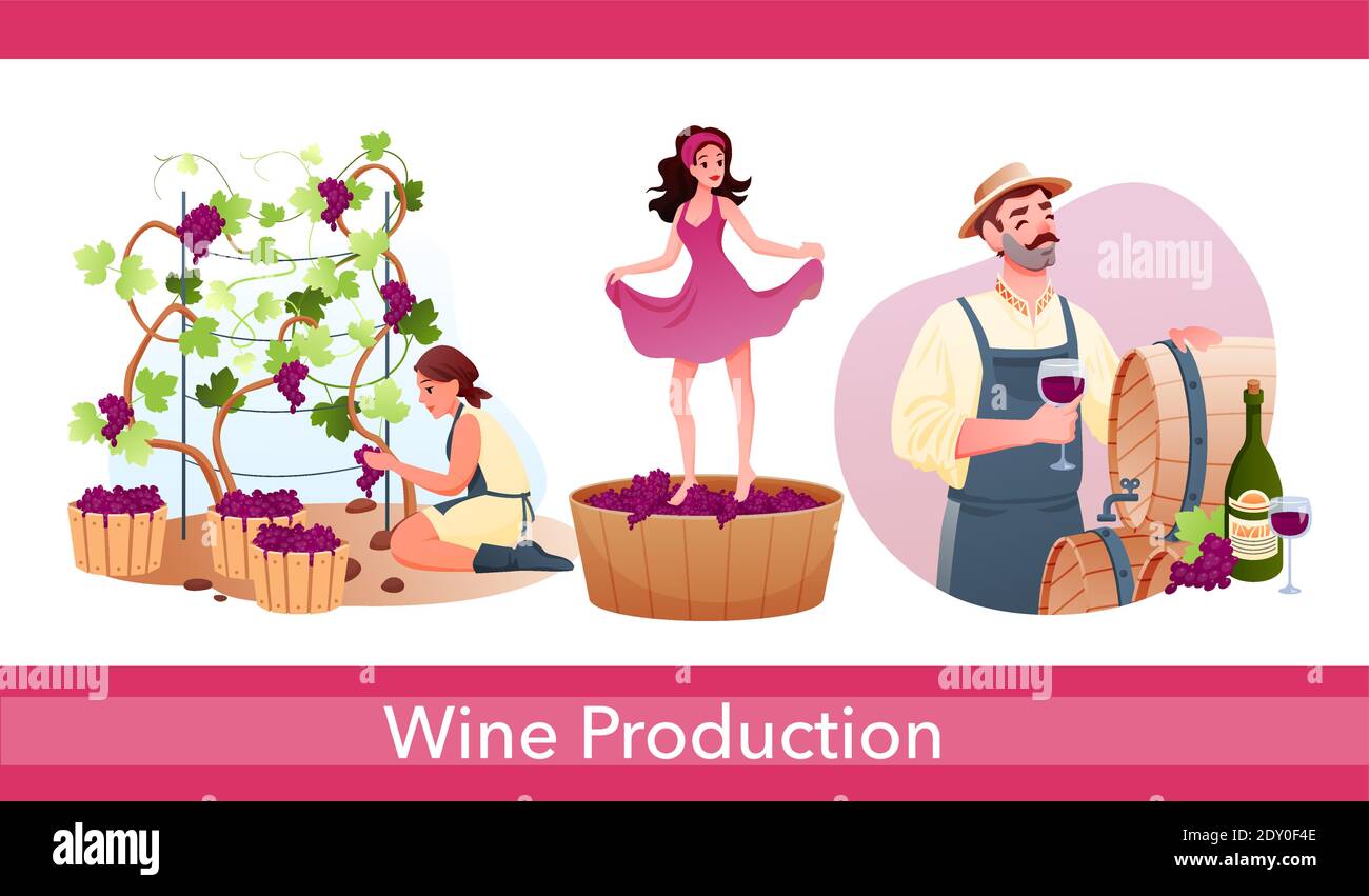 La produzione di vino in una cantina tradizionale con personaggi produce naturale bevanda alcolica Illustrazione Vettoriale