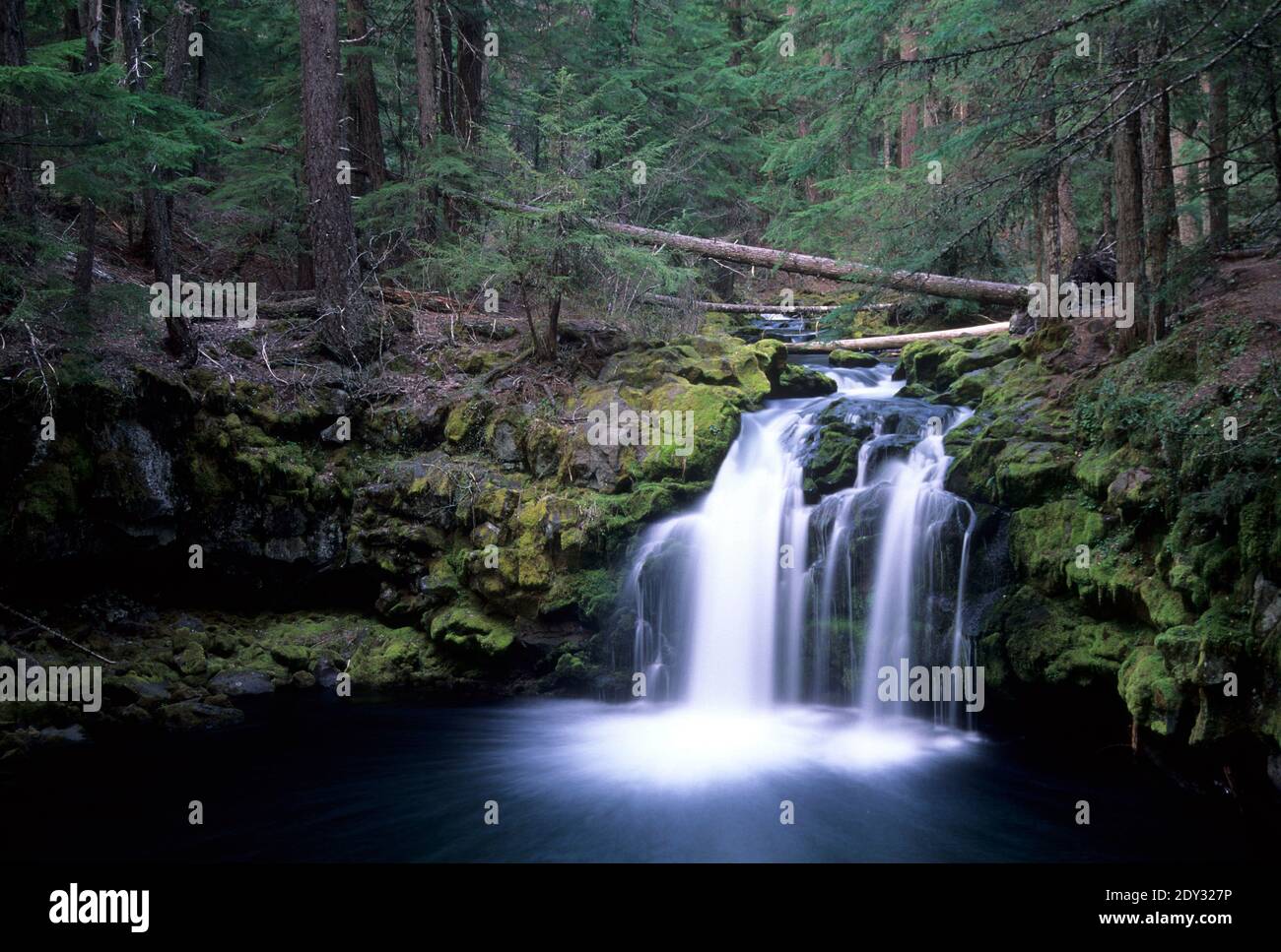 Cascate di Whitehorse, la strada panoramica Rogue-Umpqua, la foresta nazionale di Umpqua, Oregon Foto Stock