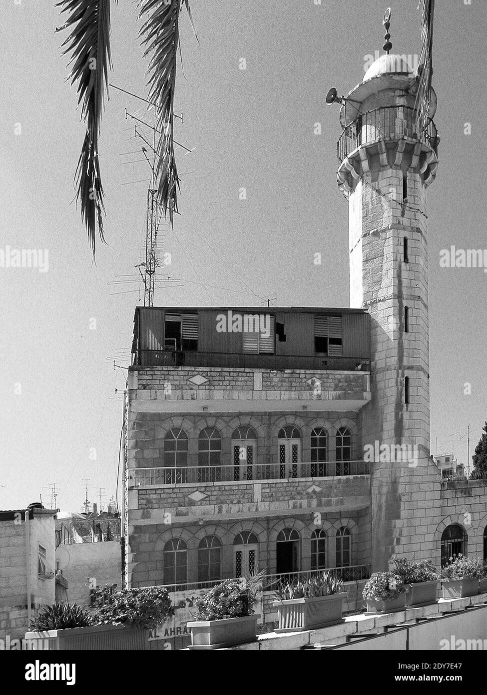 Le haut minaret de la mosquée blanche situé en face de l'Hospice autrichien dans le quartier musulman de Jérusalem. Palestina Israël Foto Stock