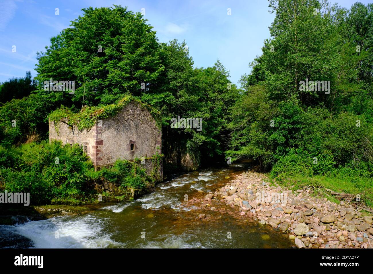 Vecchia rovina di un mulino abbandonato da un piccolo fiume e caduta, essendo sorpassato dalla vegetazione Foto Stock