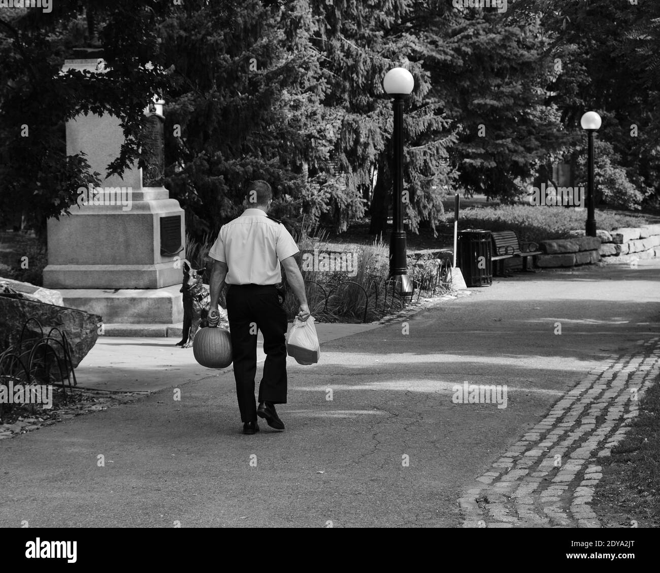 Uomo a piedi in città parco con una zucca e. borsa della spesa Foto Stock