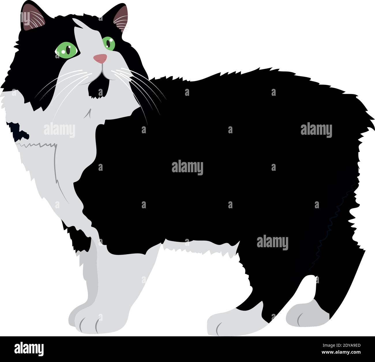 bianco e nero cute icona gatto su sfondo bianco, disegno colorato, illustrazione vettoriale Immagine e Vettoriale - Alamy
