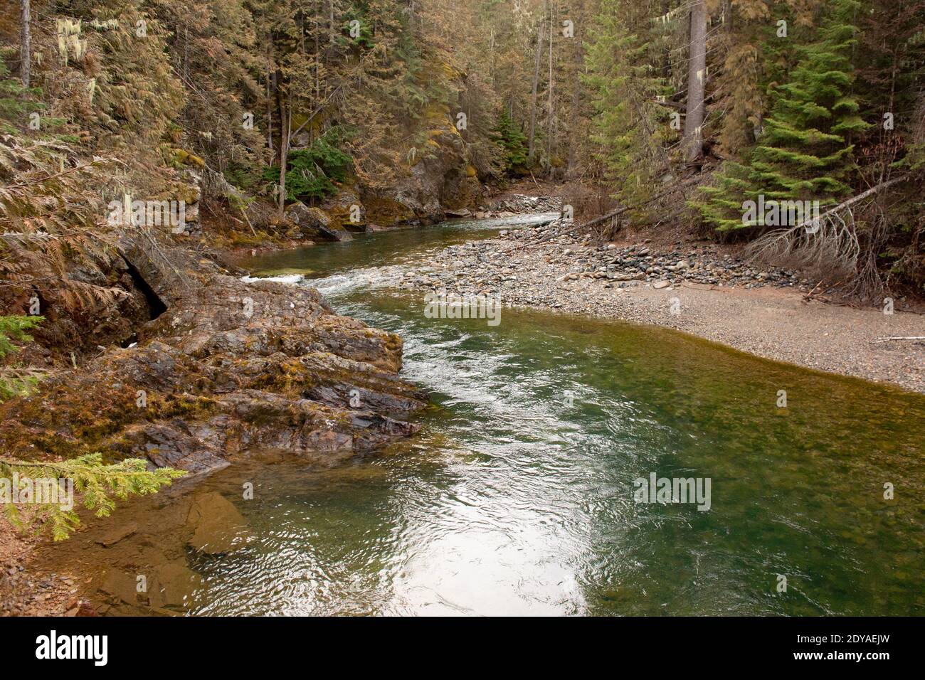 Profonde piscine sul Callahan Creek mentre si snoda verso ovest, in un tardo pomeriggio invernale, a Troy, Montana. Foto Stock