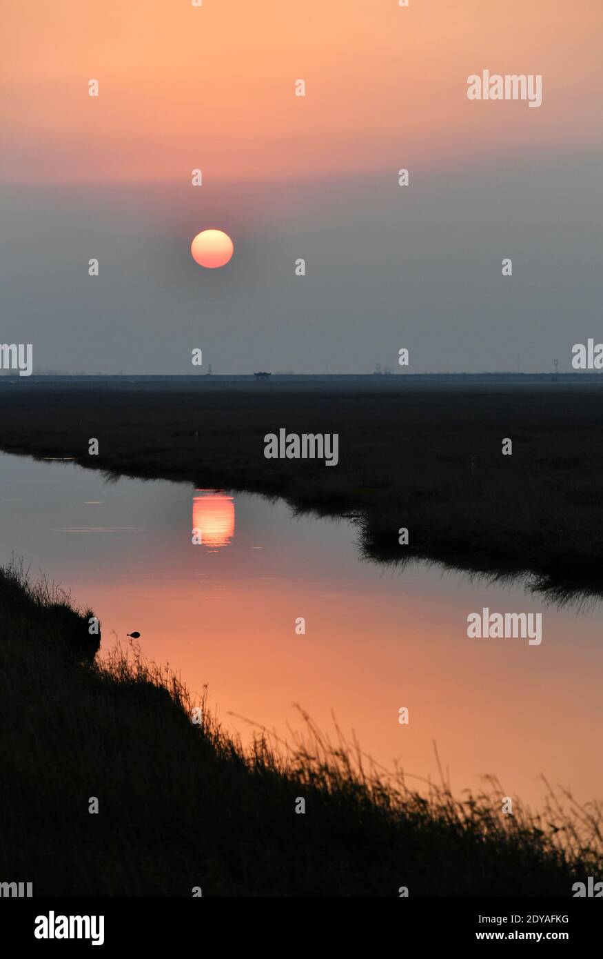 La magnifica vista del lago d'acqua dolce più grande della Cina, il lago Poyang, dove grandi praterie crescono e uccelli migratori volare è raffigurato a Wuchen Foto Stock
