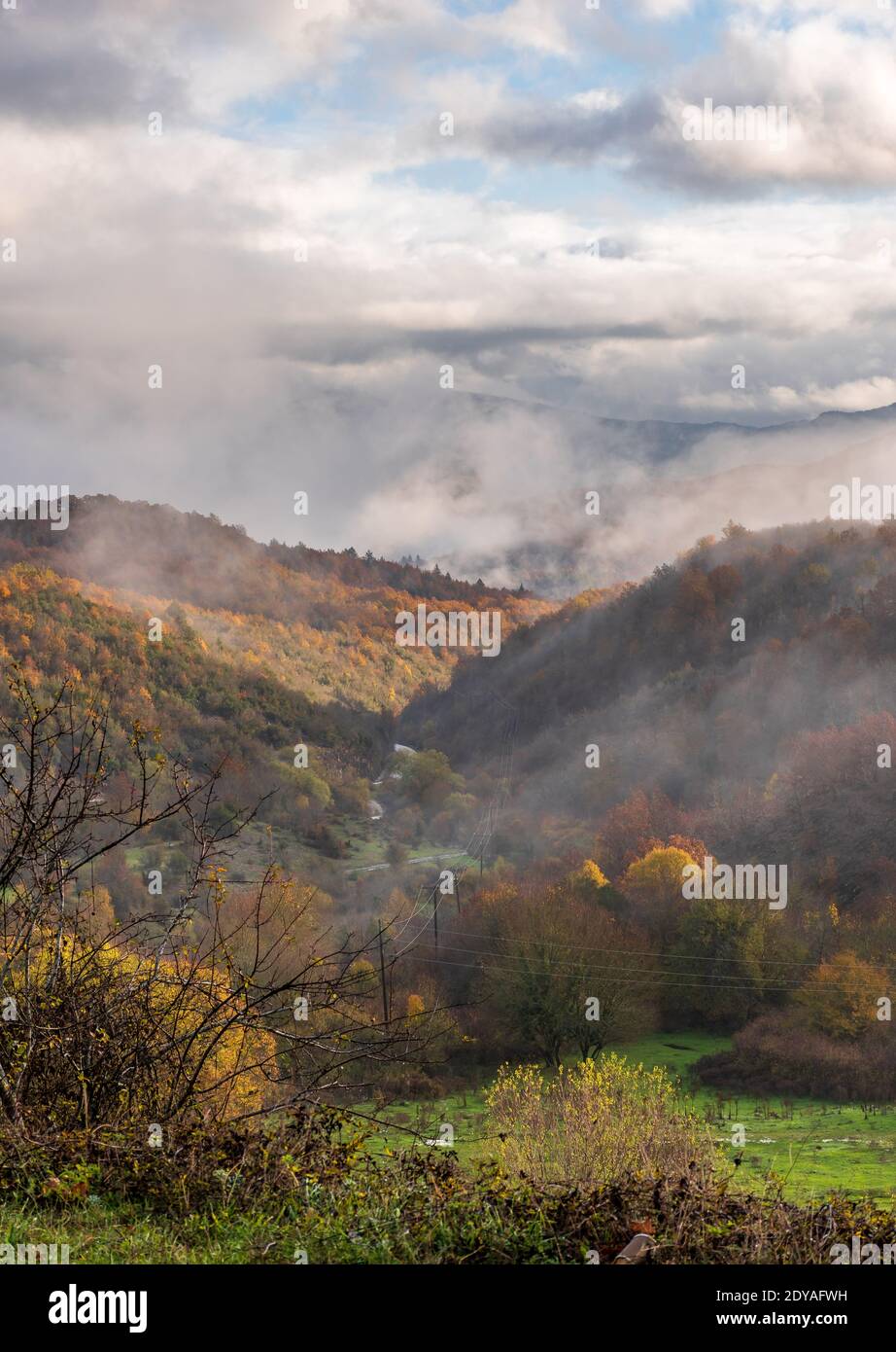 vista della foresta con colori autunnali vicino al villaggio di aspraggeloi zagori epiro grecia Foto Stock