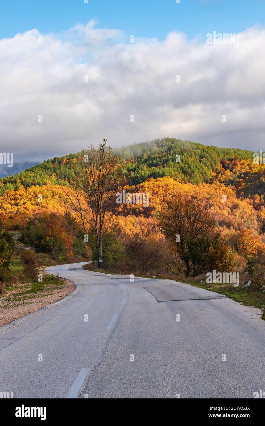 Vista sulla strada della foresta con colori autunnali vicino aspraggeloi villaggio zagori epiro grecia Foto Stock