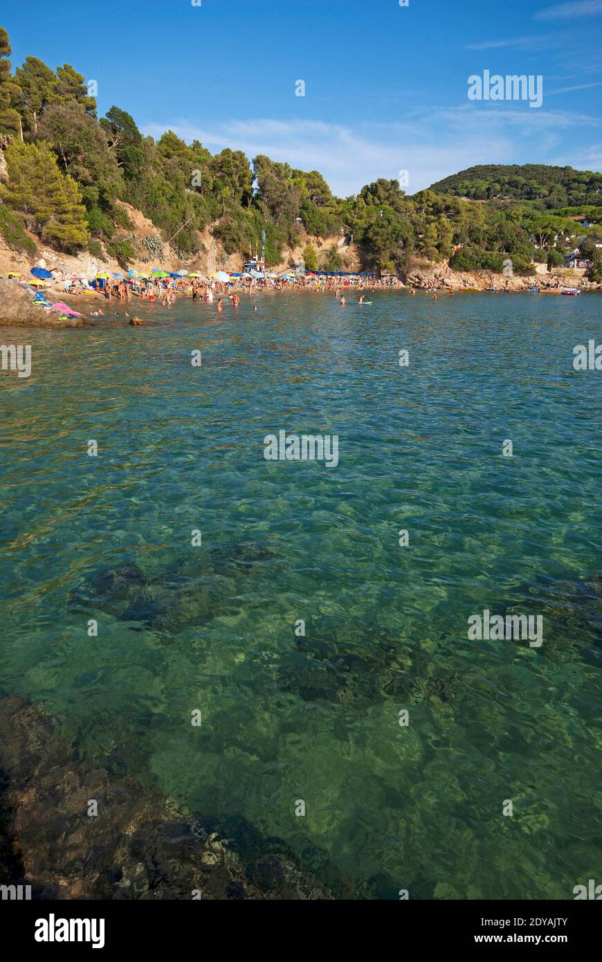Calanchiole, Capoliveri, Isola d'Elba, Toscana, Italia Foto Stock