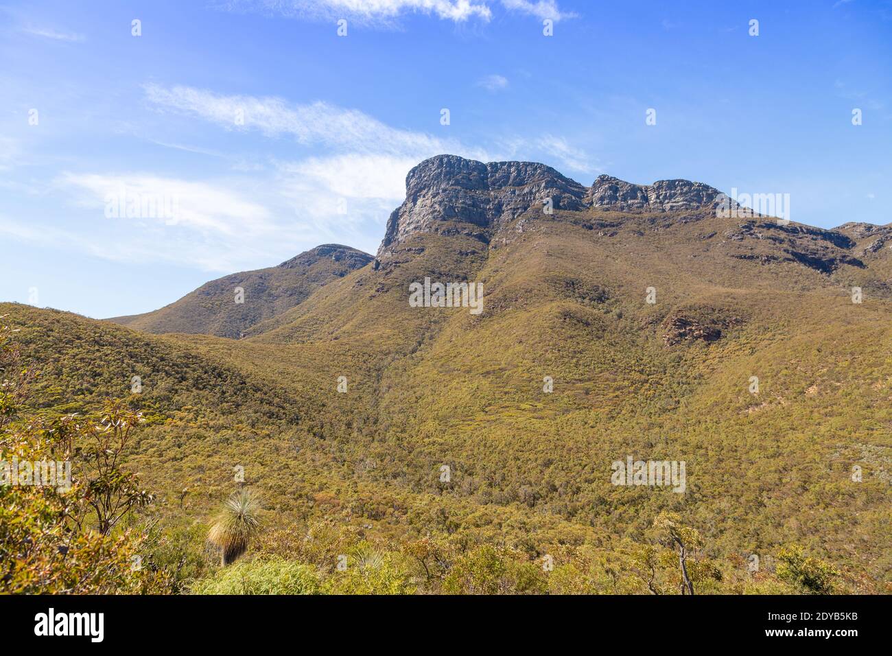 Bluff Knoll, la vetta più alta del Sitrling Range National Park, a nord dell'Alabany nell'Australia occidentale Foto Stock