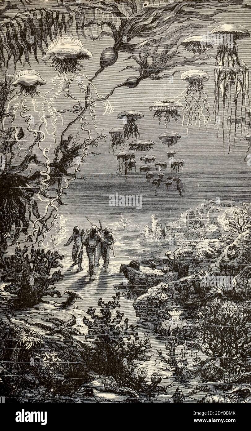 Una passeggiata sotto le acque del Libro ventimila leghe sotto i mari, o, le meravigliose ed emozionanti avventure di Pierre Aronnax, Conseil suo servo, e Ned Land, un arpooner canadese di Verne, Jules, 1828-1905 pubblicato a Boston da J.R. Osgood nel 1875 Foto Stock