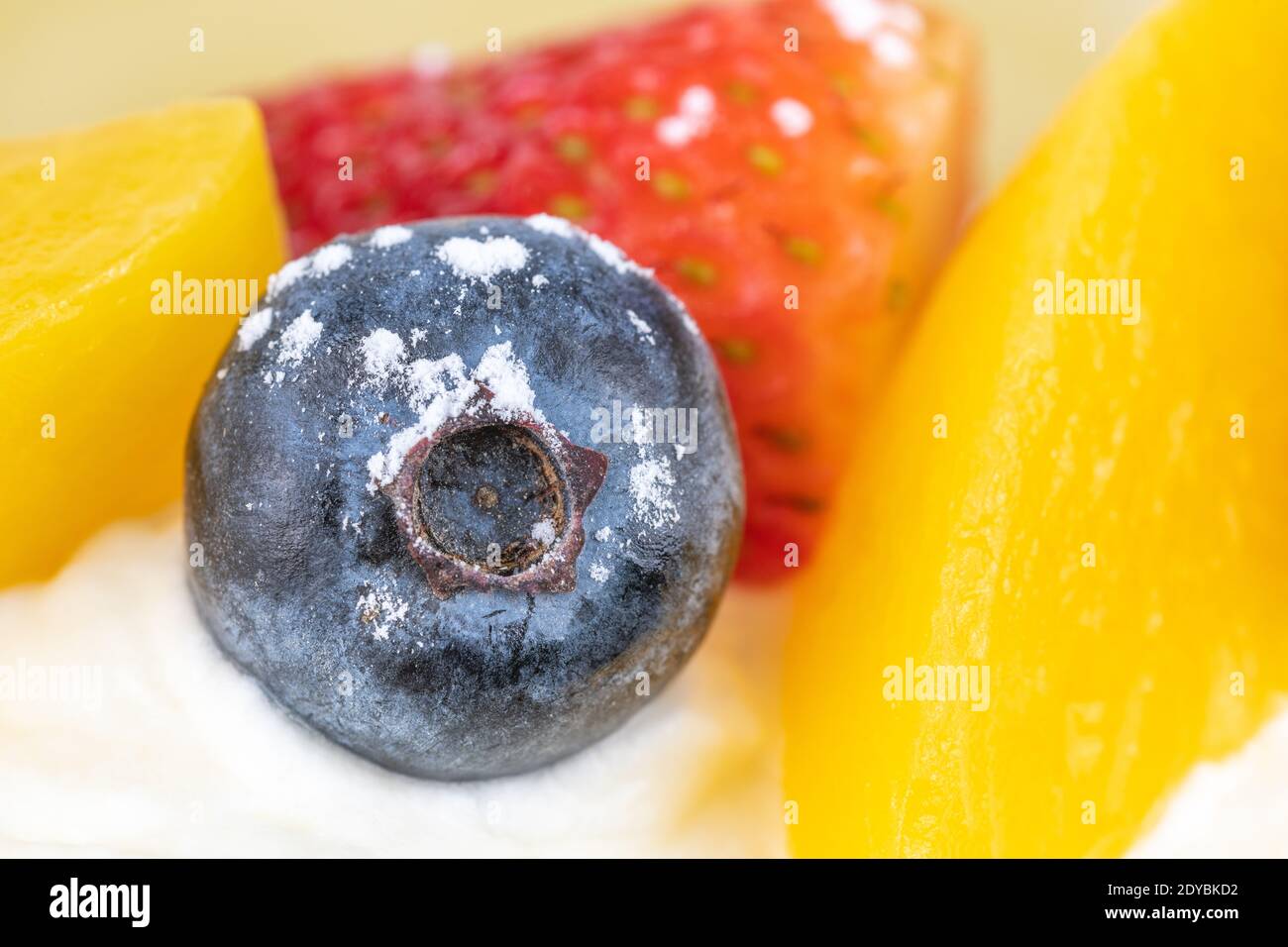 Macro di una frutta di mirtillo Foto Stock
