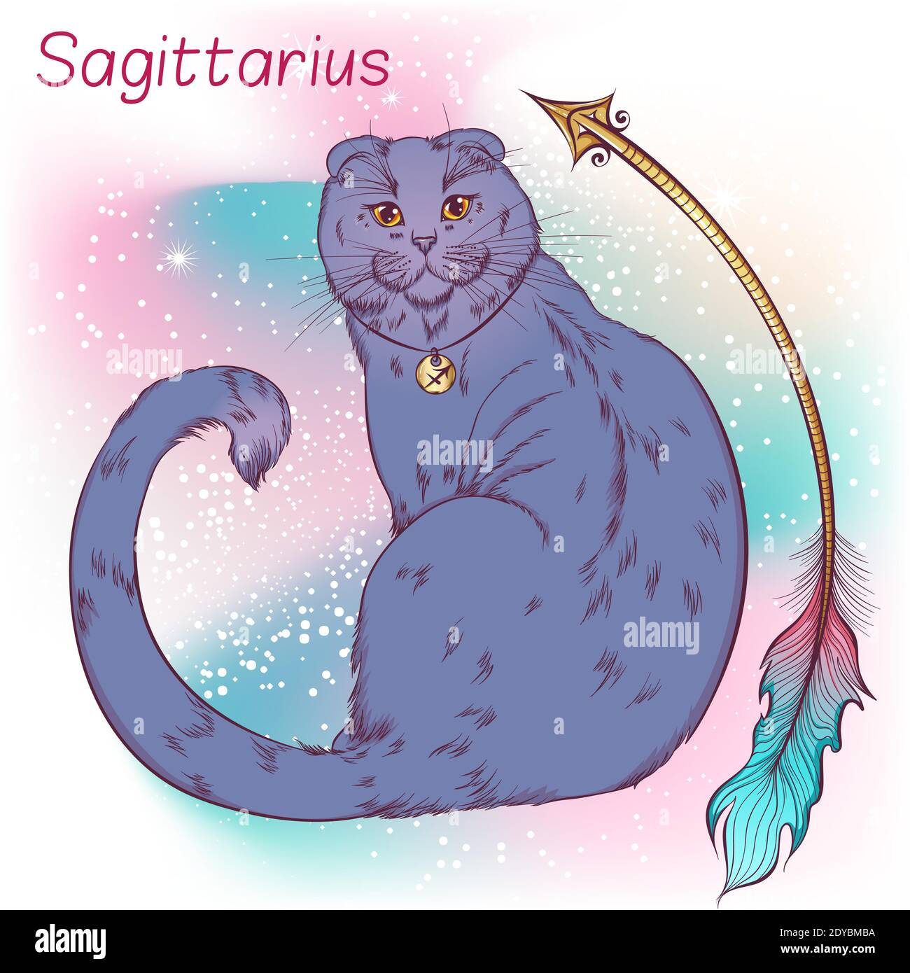 Zodiaco. Illustrazione vettoriale del segno astrologico del Sagittario come un gatto scozzese piegato seduto indietro con il volto rivolto allo spettatore. Elemento astrologico dell'oroscopo. Astrologia concetto art Illustrazione Vettoriale