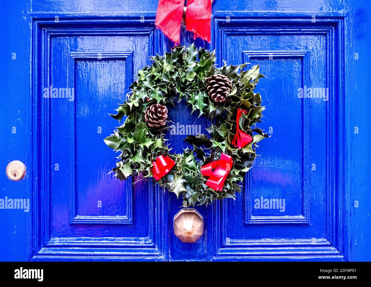 Holly Wreath con coni di pino sulla porta anteriore blu, Hertfordshire UK Foto Stock