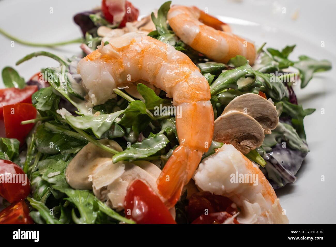 Rucola o insalata di rucola con gamberi o gamberi, pomodoro, funghi Button, servita su un piatto bianco Foto Stock